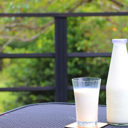 The Guernsey Hotel & Resort Taketa Exteriér fotografie