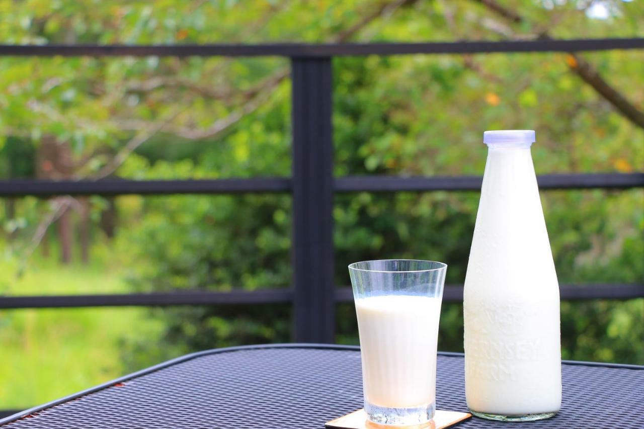 The Guernsey Hotel & Resort Taketa Exteriér fotografie